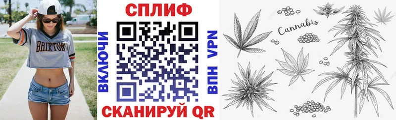 Купить закладку АМФЕТАМИН Альфа ПВП Гашиш Конопля Меф мяу мяу КОКАИН Лесной