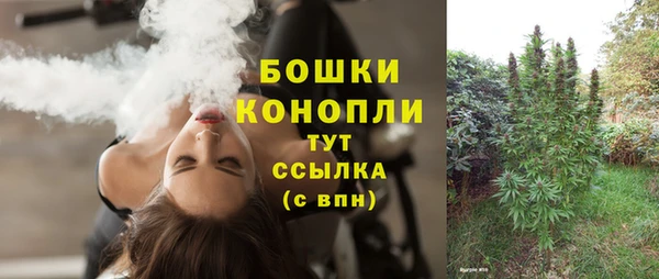 ешки Горнозаводск