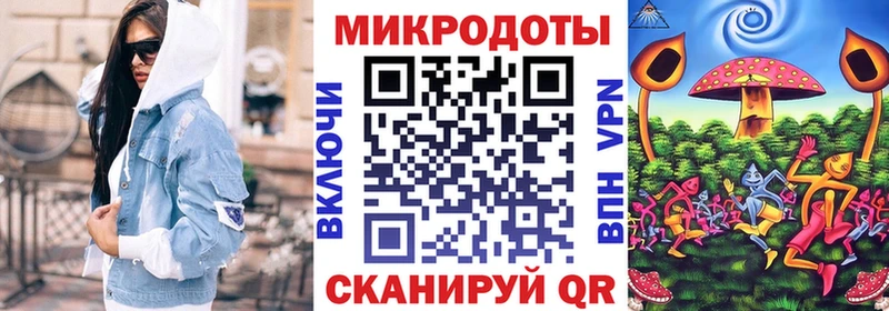 Купить где  Лесной  Псилоцибиновые грибы Psilocybine cubensis 