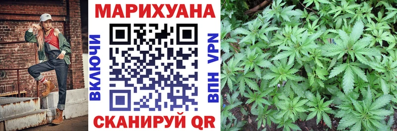 Купить где  Лесной  Канабис OG Kush 